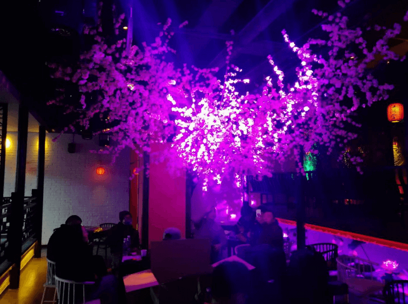 Electronic music audio Finland Aura audio China Entertainment General Agent mateng Audio Company(图2)